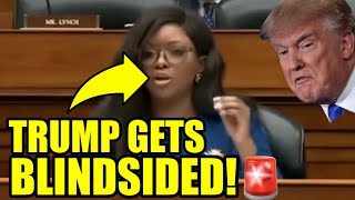 Democrat HIJACKS MAGA House Hearing to EXPOSE Trump’s SECRETS [upl. by Rudy]