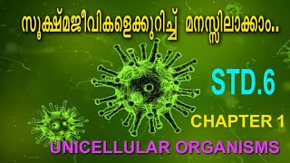 UNICELLULAR ORGANISMS ഏകകോശ ജീവികൾ [upl. by Wauters]