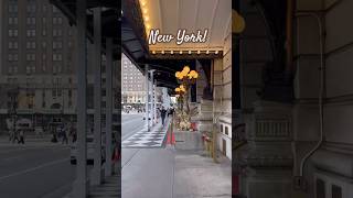 🇺🇸 Ritzy Hotels  New York City shorts newyork cruise [upl. by Priscilla987]