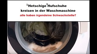 Hufschuhe reinigen Waschmaschine [upl. by Ives]