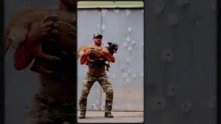 K9 DOG tacticalshooter dog dogs k9 usa tacticalk9 shortsvideo shortvideo k9policedogs [upl. by Aryn]