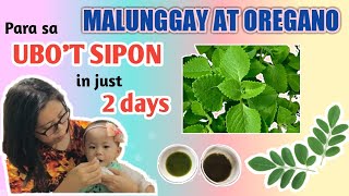 PAANO NAWALA ANG UBOT SIPON NI BABY IN JUST 2 DAYSMALUNGGAY AT OREGANO FAST amp EFFECTIVE REMEDIES [upl. by Cecilia]