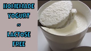 Homemade Yogurt  Lactose Free SCD Legal [upl. by Sidnal]