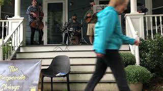 Walk On Water 2024 Version  Portsmouth NH Porch Fest 2024 [upl. by Inatsed]