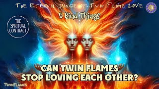 Can Twin Flames Stop Loving Each Other 5 Things That Bind Twin Flame Love Together [upl. by Eeryn]