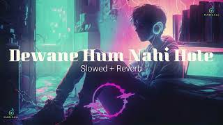 Deewane Hum Nahi Hote  Slowed and Reverb  LoFi Version  Aditya Yadav  Magicall Musix [upl. by Rivkah]