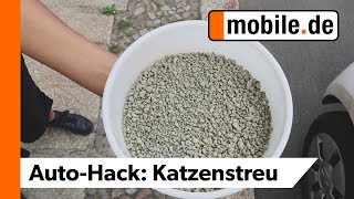 Mit Katzenstreu beschlagene Autoscheiben verhindern  mobilede [upl. by Flessel]