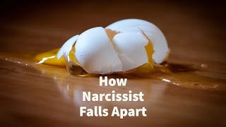 How Narcissist Falls Apart Compilation [upl. by Avelin260]