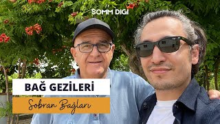 Sobran Bağları Gezisi Bağcılık ve Şarap Üretimi [upl. by Hurd541]