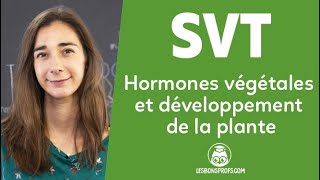 Hormones végétales et développement de la plante  SVT  Terminale  Les Bons Profs [upl. by Halli]