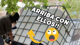 💦 Así ELEVO sola los DEPÓSITOS de mil litros Vlog146 [upl. by Lai909]