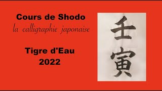 SHODO calligraphie japonaise  Tigre dEau [upl. by Carrington955]