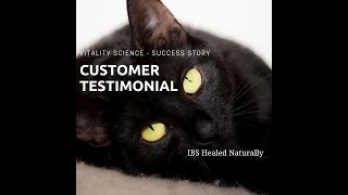 Testimonial Natural Cat Medicine Successfully Treats IBD and Low Grade Lymphoma  Vitality Science [upl. by Casia]