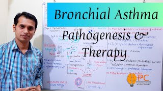 Bronchial Asthma Part 2 Pathophysiology and Treatment of Asthma [upl. by Meador]