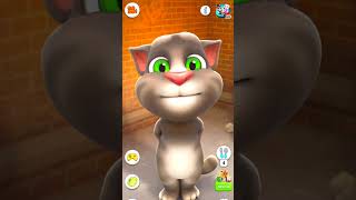 Talking Tonu Cat funny video 😆😆😆😀😃😃😀😆😅😅😅 [upl. by Aicenat]