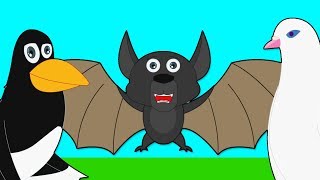 Aesops Fables The Birds the Beasts and the Bat  HooplaKidz [upl. by Bass]