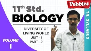 TN 11th Std Biology  Diversity of Living World  New Syllabus2018  Part 09  VOL 1 [upl. by Nnaassilem106]