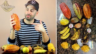 Exotic Miami Fruit Unboxing  Rare Bananas Yellow Dragonfruit Cacao Gamboge amp Passion Fruit [upl. by Idnahc]