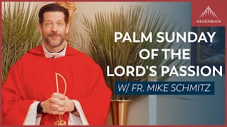 Palm Sunday of the Lords Passion  Mass with Fr Mike Schmitz [upl. by Asel]