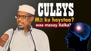 Culays ma ku haystaa  Waa maxay xalka  Sheikh musatfe xaaji ismaaciil  Dhiiragalin [upl. by Eittik]