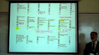 GENES amp DNA REPLICATION by Professor Fink [upl. by Nerak838]