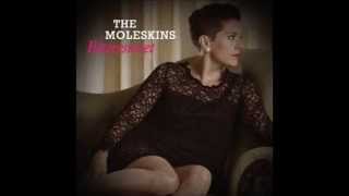 IGY Donald Fagen  cover by The Moleskins [upl. by Lynette]