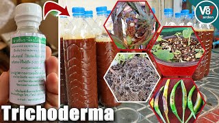 How to Use Trichoderma That You Never Know [upl. by Lorola]