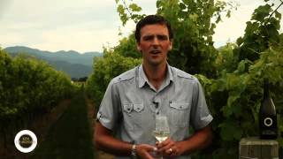 Kim Crawford Wines Sauvignon Blanc Tasting Video [upl. by Nanete950]