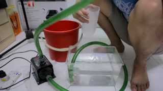 How To do Drip Irrigation with Emitters [upl. by Carman984]