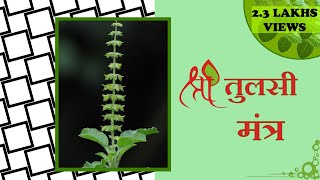 Tulsi MantraMahaprasad Janani  तुलसी मंत्र जल देते समय बोले मंत्र [upl. by Sillyrama]