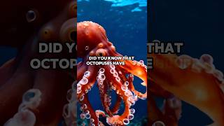 Did you know that octopuses have blue blood shorts [upl. by Nodanrb]