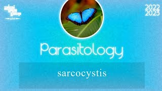 L1part 3 Sarcocystis Parasitology [upl. by Treblah]