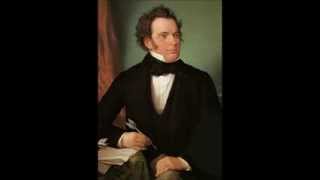 Franz Schubert  Kyrie dmoll D 31 [upl. by Killian72]