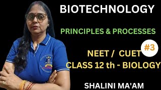 Biotechnology Principles amp Processes Class 12 Biology NCERT Chapter 11  CBSE NEET I Revision [upl. by Anaehr]