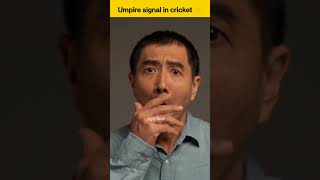 केसे जाने अंपायर के हाथो का संकेत 🤔 Umpire signal in cricket amazingfacts shortsviral cricket [upl. by Ditter]