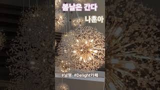 봄날은간다 나훈아 UDelight 남평 힐링여행 [upl. by Hakaber]