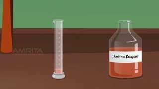 Detection of Bile Salt in Urine  MeitY OLabs [upl. by Aitnuahs242]