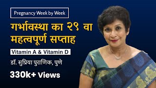 गर्भावस्था का २९ वा सप्ताह  29th week  Pregnancy week by week  Vit A amp D  Dr Supriya Puranik [upl. by Dannie750]