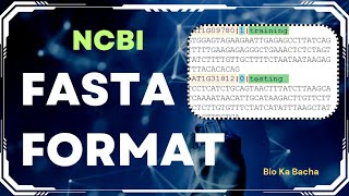 NCBI fasta format  genbank format  protein and nucleotide sequence in fasta format through NCBI [upl. by Philemon752]