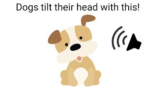 Sounds that makes Dogs tilt their head [upl. by Krasner]