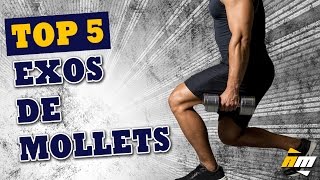 Top 5 des exercices de mollets  Muscler les mollets par All musculation [upl. by Edurtreg580]