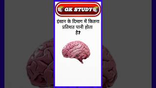 Top 30 GK Questions 🔥💯 GK Question ✍️GK Questions and Answers brgkstudygkinhindi gkfacts gk [upl. by Bjork]