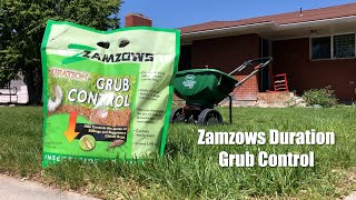 Prevent Lawn Grubs and Chinch Bugs [upl. by Zwick960]