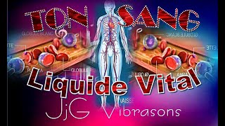 TON SANG  LE LIQUIDE VIVANT amp VITAL DE TON VÉHICULE CORPOREL à maintenir le plus propre possible [upl. by Leira549]