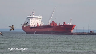 Tanker ADFINES SEA at Suncor Terminal Petro Canada pier Oakville Bronte Lake Ontario 2016 [upl. by Langer]