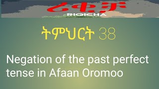 lesson 38 Negation of the past perfect tense in Afaan Oromoo [upl. by Fredek]