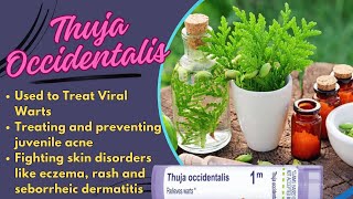 Thuja Occidentalis  Homeopathic Medicine  Uses Dosage amp Side Effects  Hindi Urdu [upl. by Larimore]