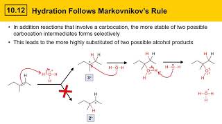 1012 Addition of Water to Alkenes Hydration [upl. by Atiken]