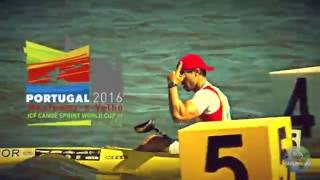 ICF Canoe Sprint World Cup 3  MontemorOVelho 2016 [upl. by Foscalina]