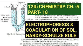 12th Chemistry Ch5Part18Electrophoresis amp Coagulation of solHardySchulze ruleStudy with Farru [upl. by Ahkihs815]